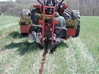 Tree Planting May 2007