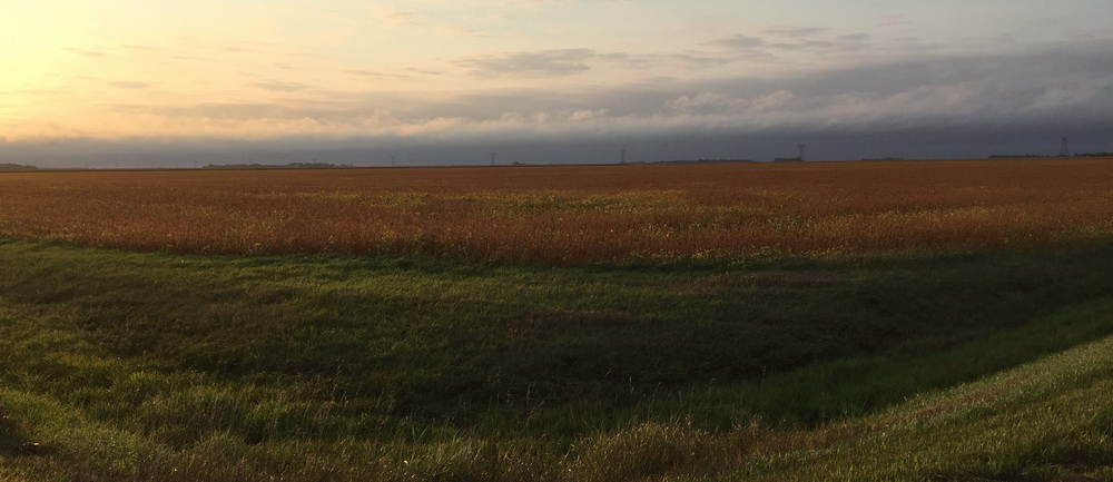 Dawn looking towards the Twin Cities (and Monticello) EN35cg